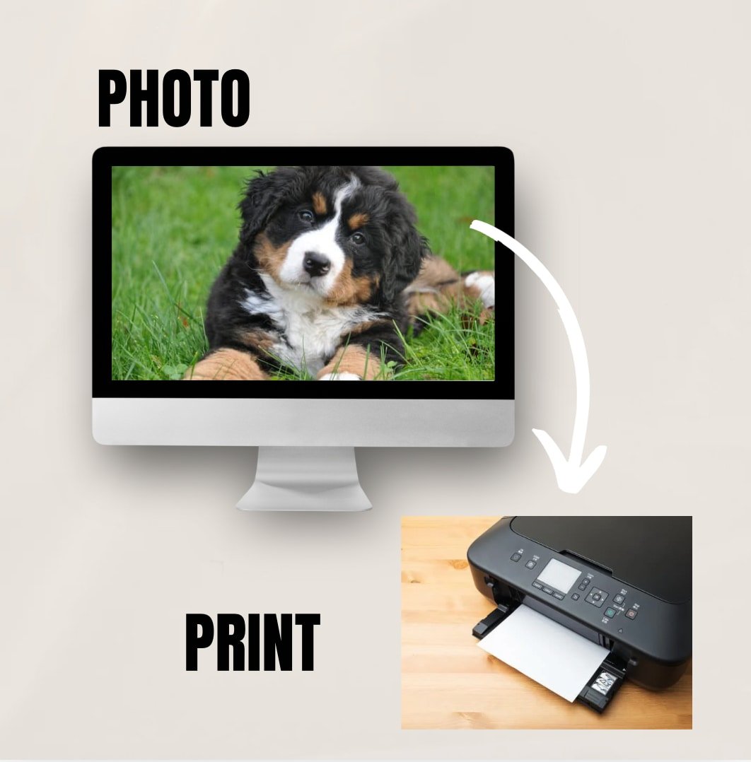 How To Re-size Your Reference Photo Using Photopea